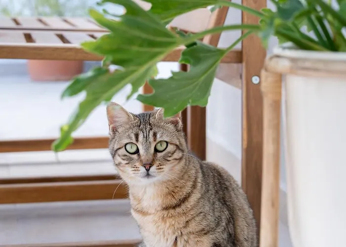 Semesterbostad Gerani Kos